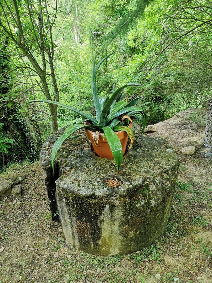 Casa Rural Ardetxal A 16Km De Logrono Y Laguardia Vinaspre Kültér fotó